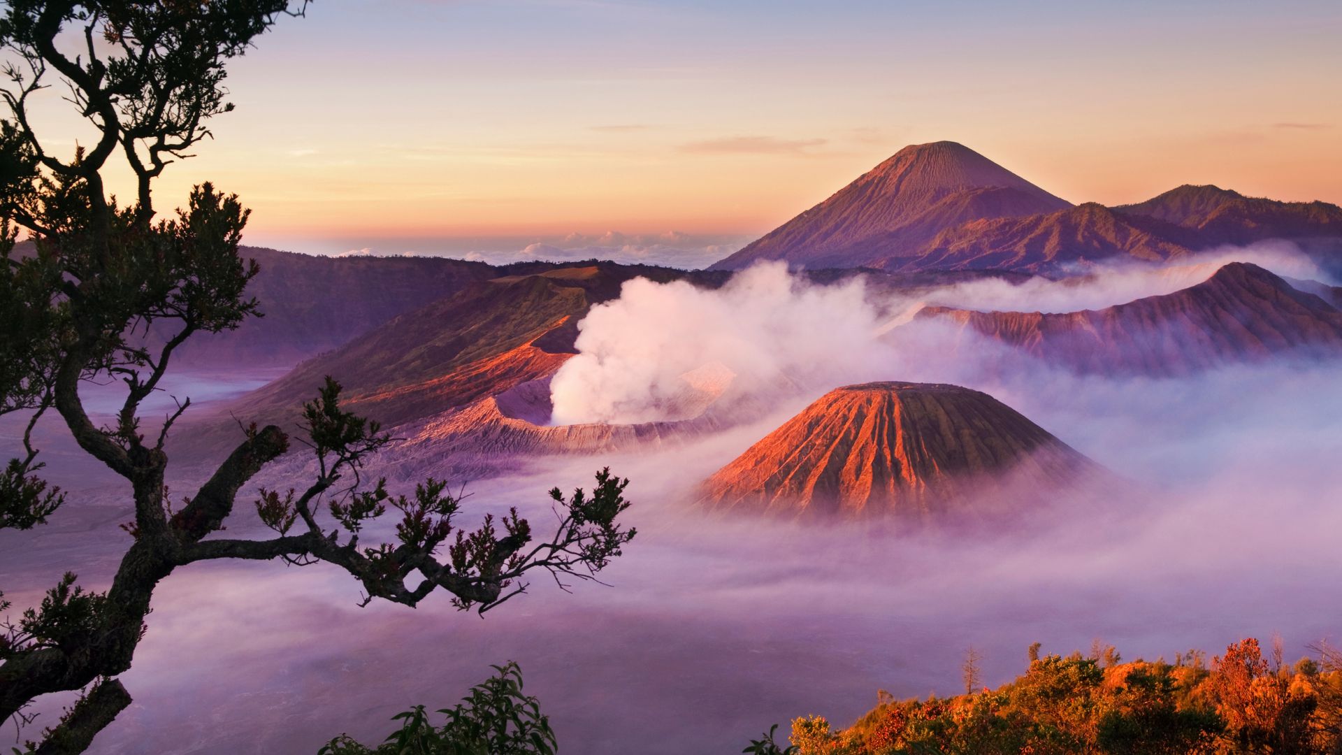 Exploring Mount Bromo - Sierra Travel